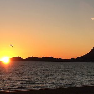 Meet your Posher, Hue